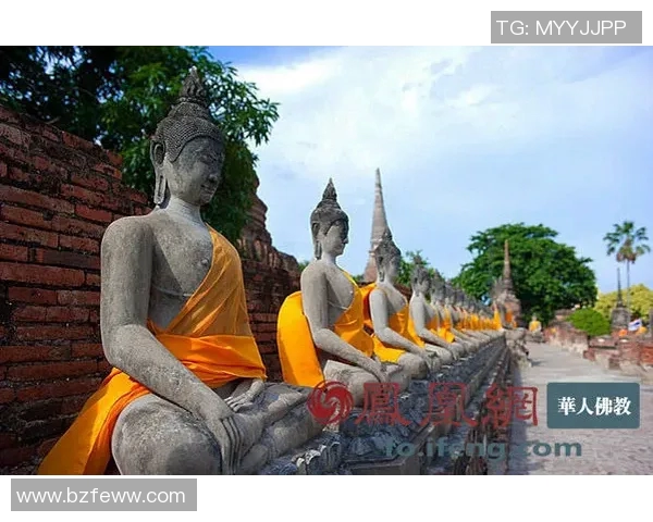 甲府与新泻激战正酣谁能在这场较量中笑到最后