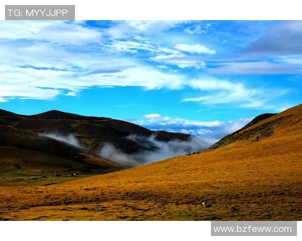 罗凯文的成长之路与人生哲学探讨：从平凡到卓越的心灵旅程